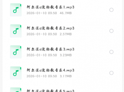 全套 360 首阿尔法胎教 α 波乐曲，科学调频舒缓身心，启发胎儿专注力与脑潜能，孕期必备胎教音源。